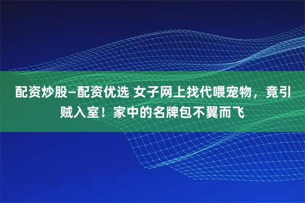 配资炒股—配资优选 女子网上找代喂宠物,竟引贼入室!家中的名牌包不翼而飞