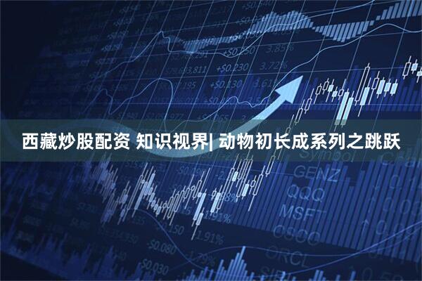 西藏炒股配资 知识视界| 动物初长成系列之跳跃